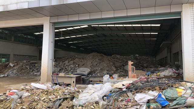 五洲龙最新动态引领时代变革，塑造未来出行趋势