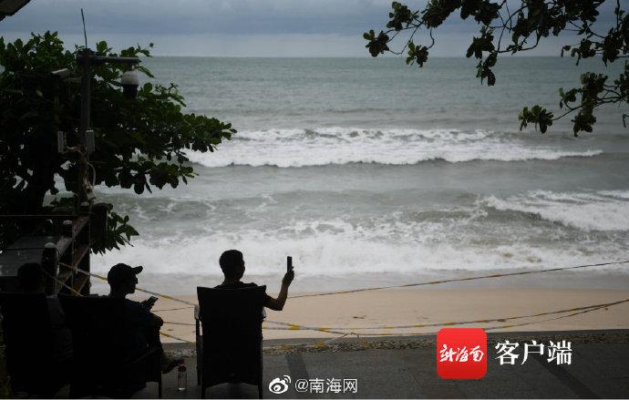 沙德尔最新信息一览，概览与综述