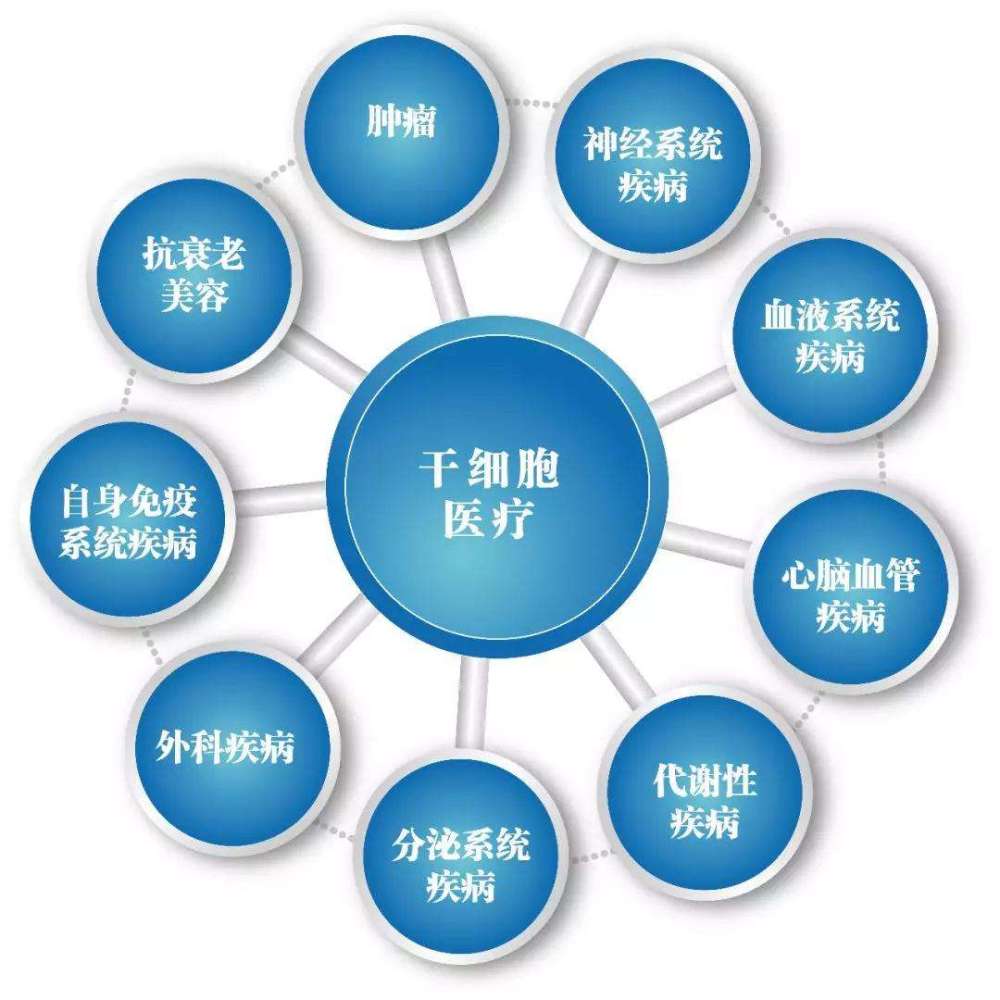 干细胞最新突破进展，重塑生命科学未来之门