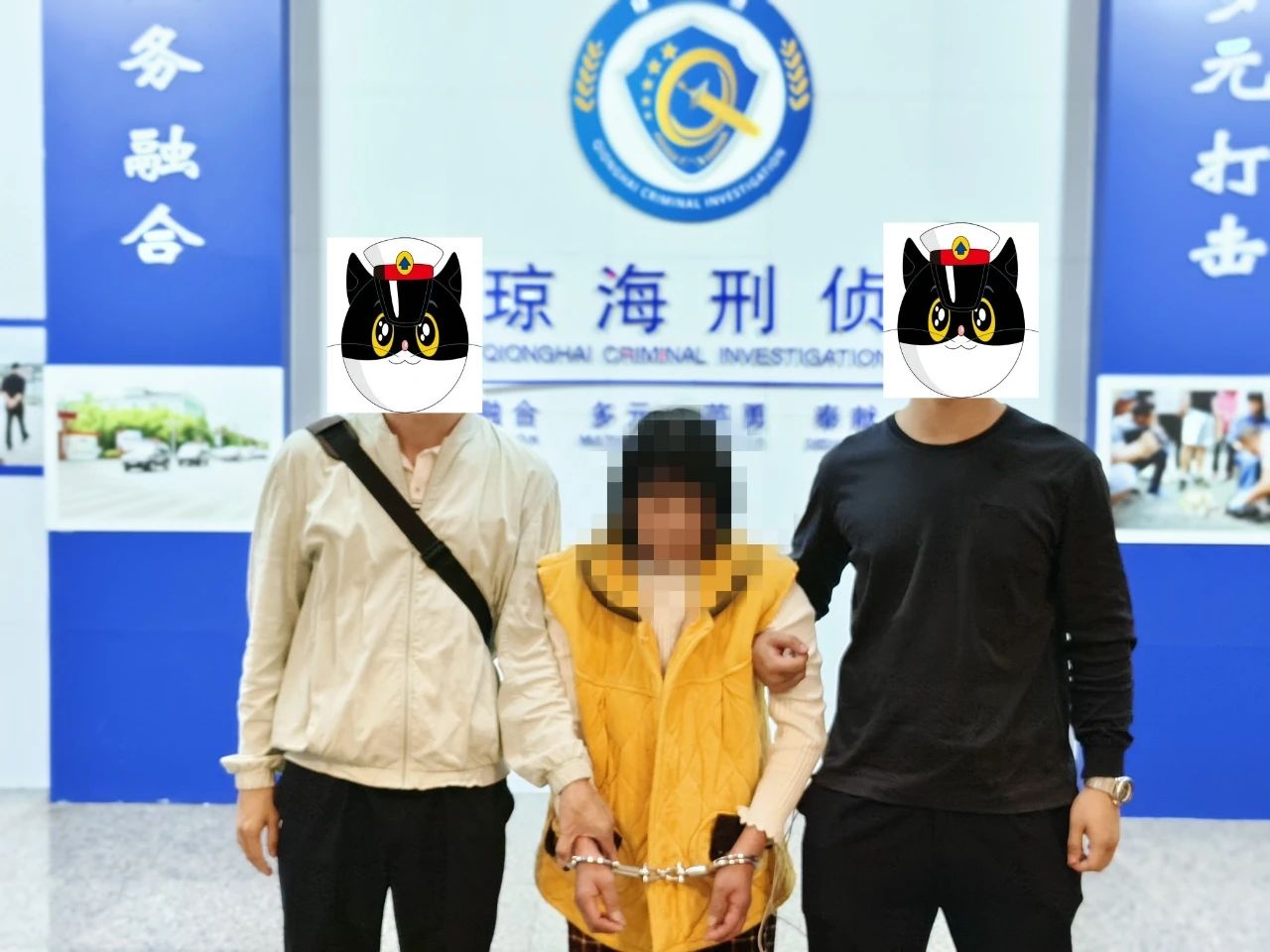 琼海最新杀人案，深度剖析与反思