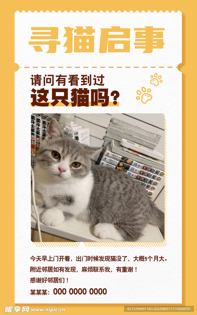 最新上海寻猫启事，紧急寻找失踪猫咪行动启动