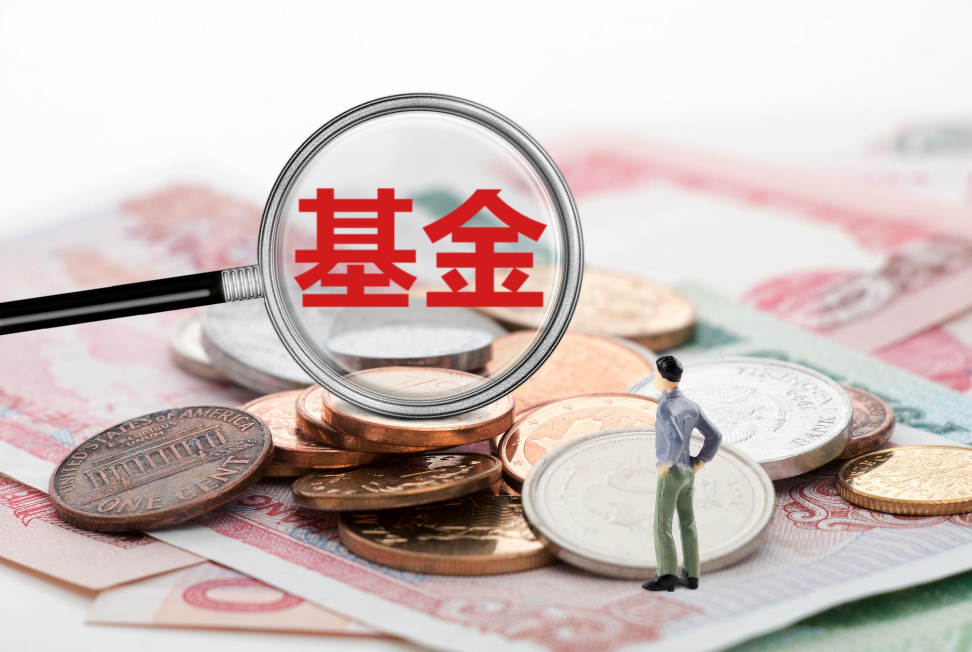 2025年3月11日 第12页