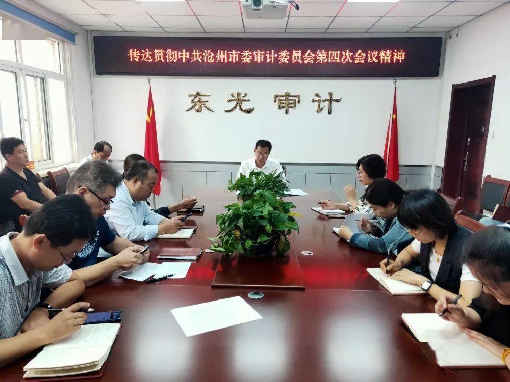 东洲区审计局深化职能助力区域经济发展，最新动态与新闻速递